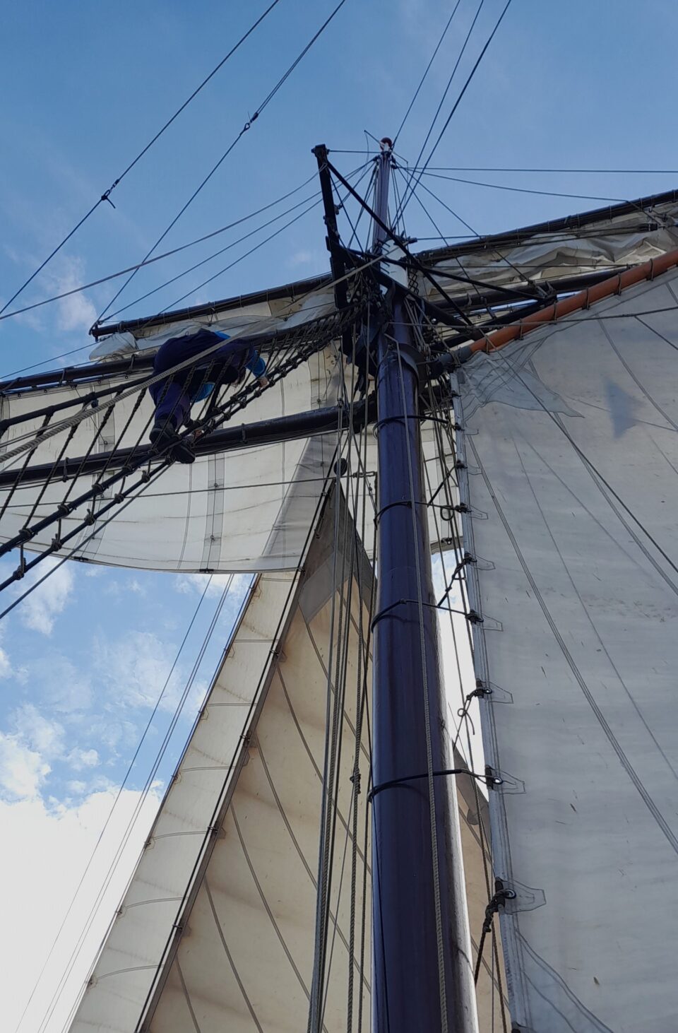 Open Call Let`s Sail Together 2023 ©KompasseV