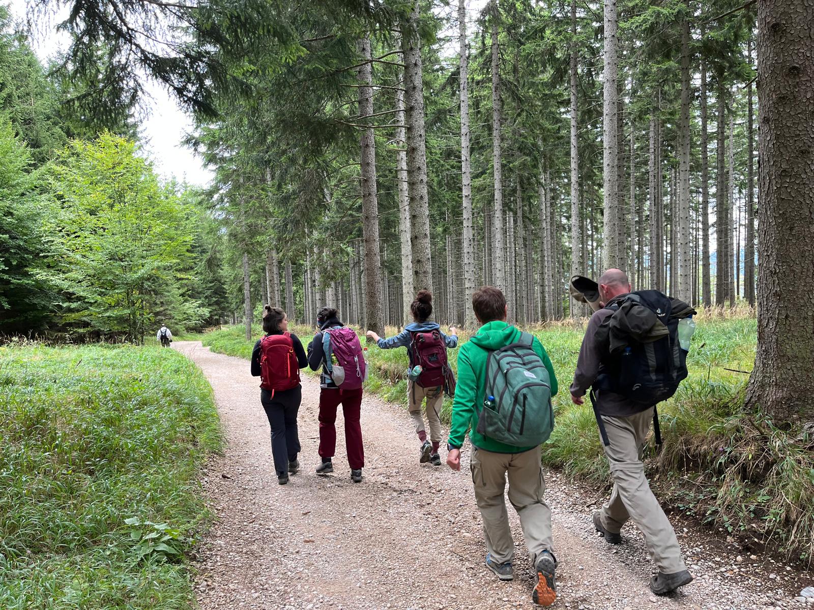 Wandern in Österreich 2025 ©KompasseV